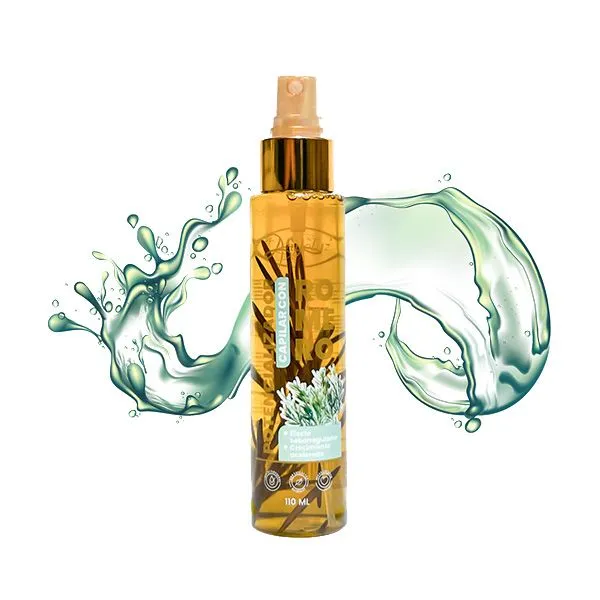 ANYELUZ POTENCIALIZADOR DE ROMERO 110 mL