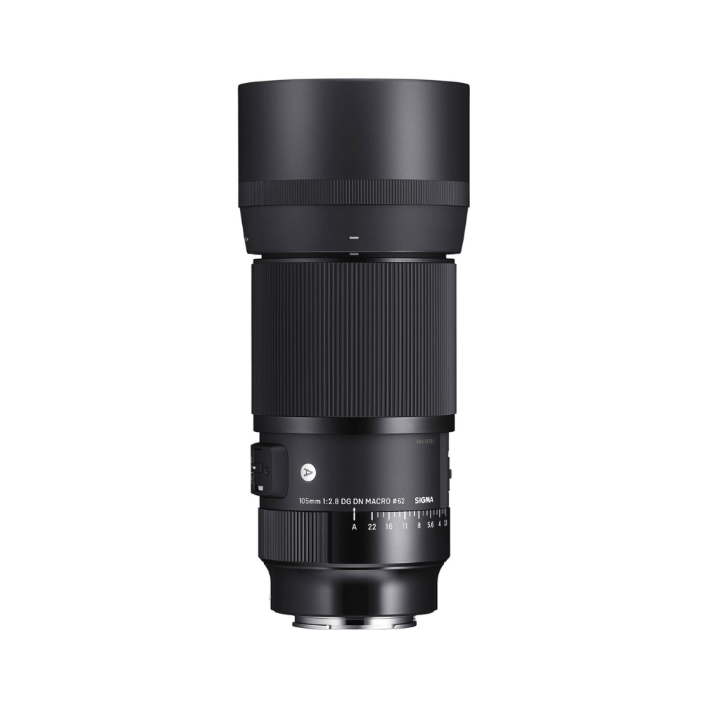Sigma 105mm f/2.8 DG DN Macro Art Lens (Sony E)